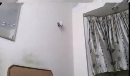 छोटे स्तन के साथ इंडियन मूवी सेक्सी लड़की उसे गधे को चिपक जाती है