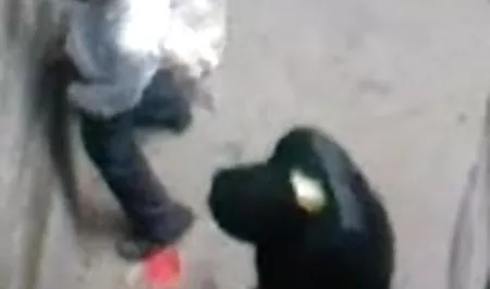 पुरुषों से पता चला कैसे सेक्सी हिंदी मूवी पिक्चर सेक्सी फूहड़ कुचल शूटिंग