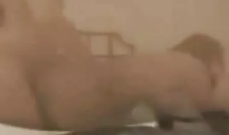 एमेच्योर बेब बिग स्तन सुनहरे बालों फुल सेक्सी मूवी हिंदी में वाली श्यामला बंद करें