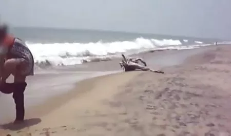 छात्रों के साथ सेक्स के एक समूह को तलाक सेक्सी वीडियो हिंदी में मूवी दे दिया ।