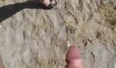 बेवकूफ सेक्सी फिल्म चाहिए सेक्सी गधे शरारती कुतिया